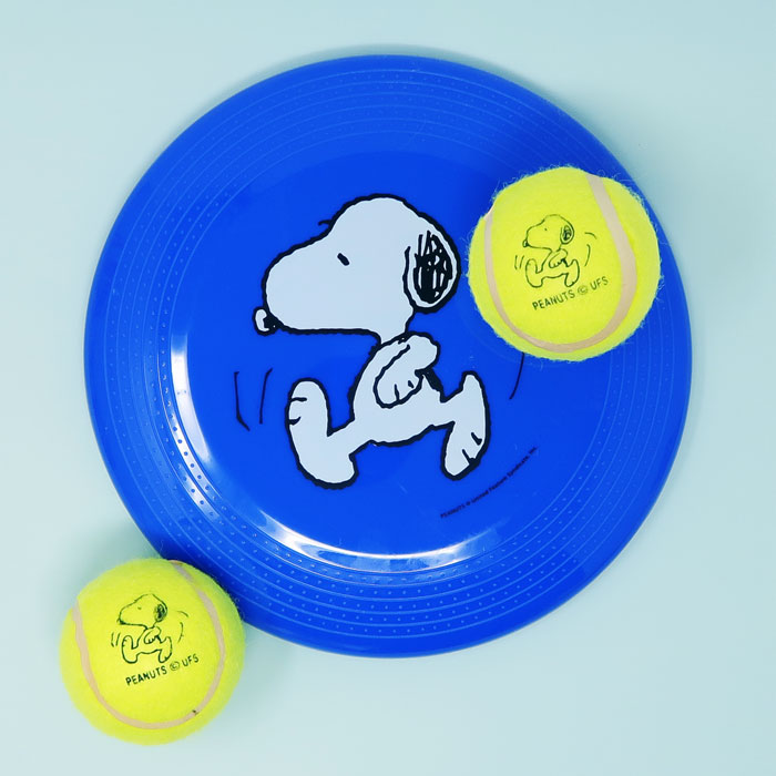 Snoopy outdoor play