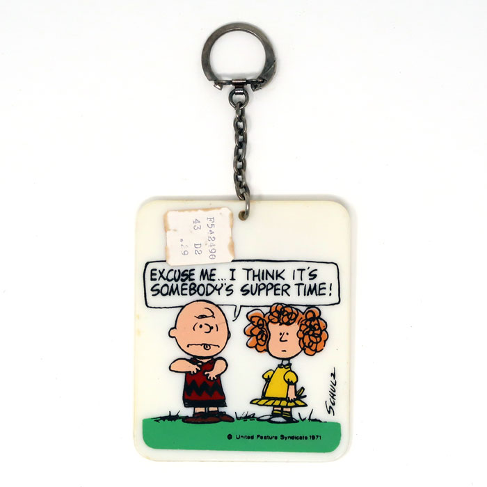 Harveys Keychain / store Peanuts Comic *in hand*