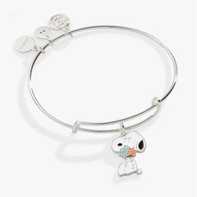 Alex And Ani Snoopy Accessories