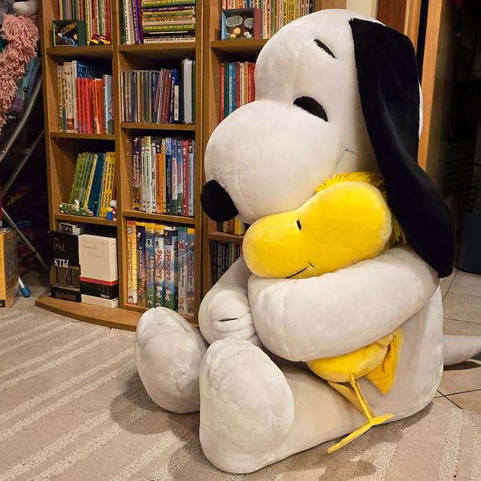 Snoopy and woodstock stuffed animals online