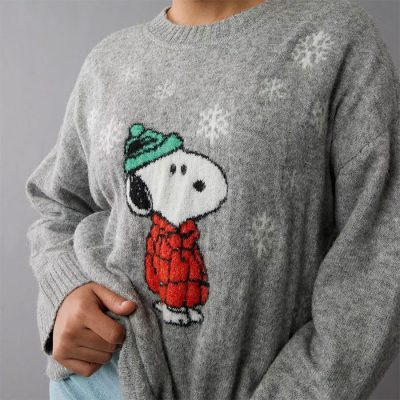 AE online X Peanuts Jacket