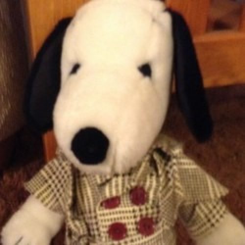 Snoopy Plush with Outfit CollectPeanuts